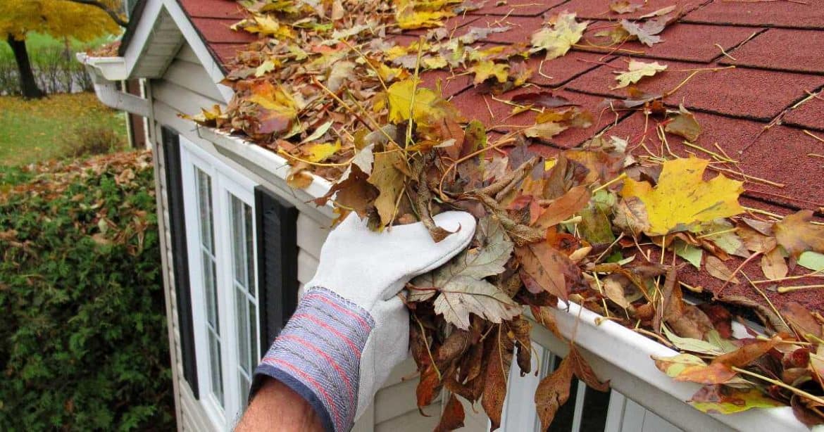 gloved hand removing leaves from a gutter